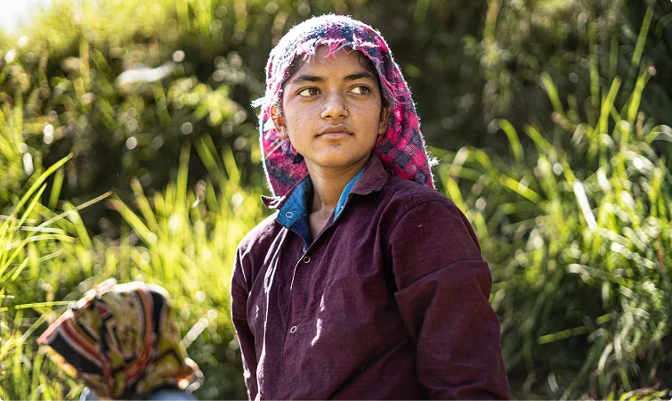 Content Section B Image